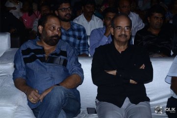 Naa Peru Surya Naa Illu India Pre Release Event Photos